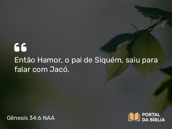 Gênesis 34:6 NAA - Então Hamor, o pai de Siquém, saiu para falar com Jacó.