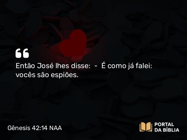 Gênesis 42:14 NAA - Então José lhes disse: — É como já falei: vocês são espiões.