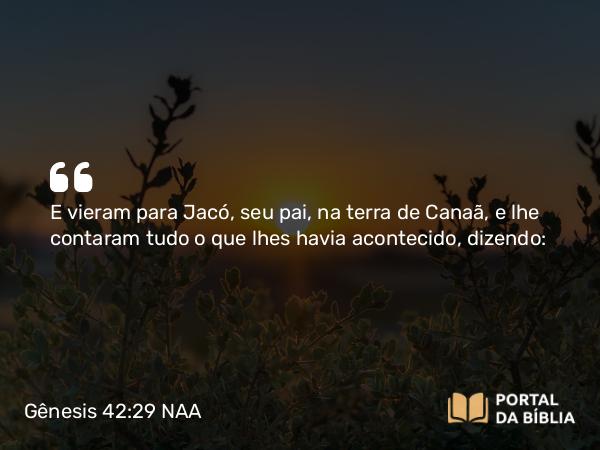 Gênesis 42:29 NAA - E vieram para Jacó, seu pai, na terra de Canaã, e lhe contaram tudo o que lhes havia acontecido, dizendo: