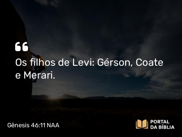 Gênesis 46:11 NAA - Os filhos de Levi: Gérson, Coate e Merari.