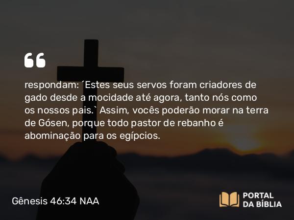 Gênesis 46:34 NAA - respondam: 