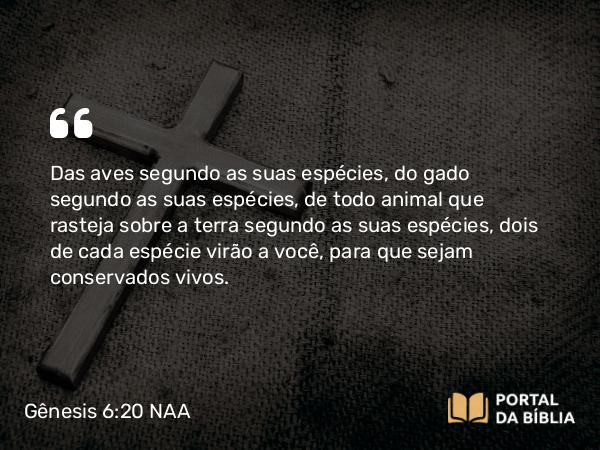 Gênesis 6:20 NAA - Das aves segundo as suas espécies, do gado segundo as suas espécies, de todo animal que rasteja sobre a terra segundo as suas espécies, dois de cada espécie virão a você, para que sejam conservados vivos.