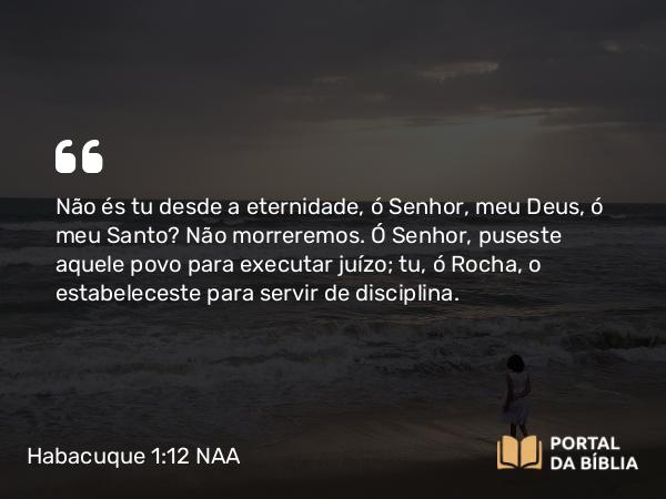 Habacuque 1:12 NAA - Não és tu desde a eternidade, ó Senhor, meu Deus, ó meu Santo? Não morreremos. Ó Senhor, puseste aquele povo para executar juízo; tu, ó Rocha, o estabeleceste para servir de disciplina.