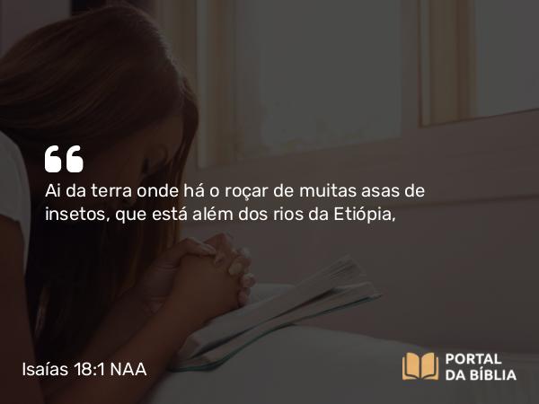 Isaías 18:1 NAA - Ai da terra onde há o roçar de muitas asas de insetos, que está além dos rios da Etiópia,