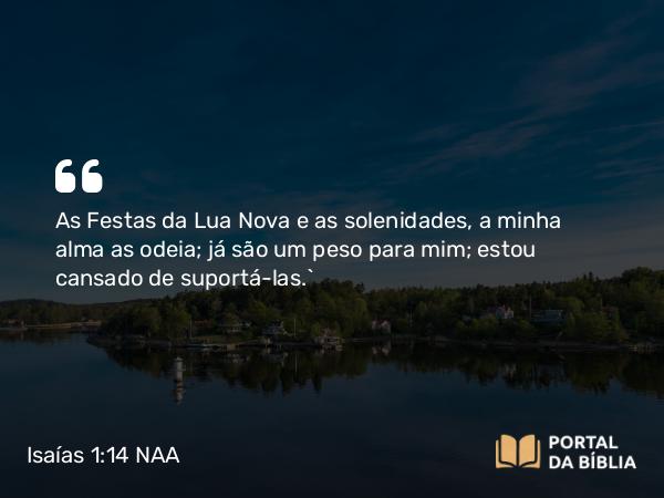 Isaías 1:14 NAA - As Festas da Lua Nova e as solenidades, a minha alma as odeia; já são um peso para mim; estou cansado de suportá-las.