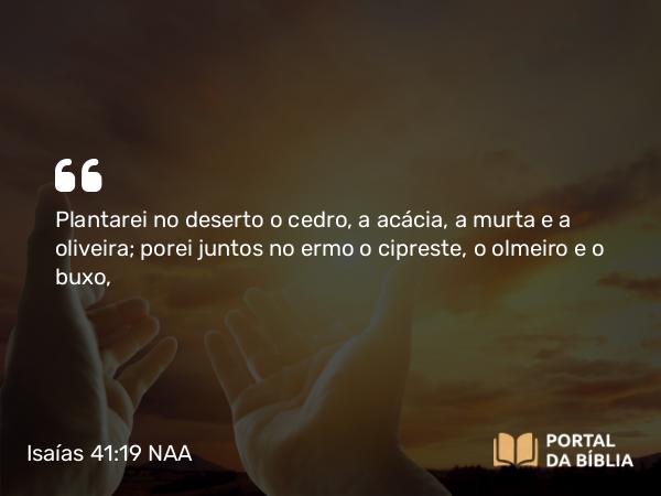 Isaías 41:19 NAA - Plantarei no deserto o cedro, a acácia, a murta e a oliveira; porei juntos no ermo o cipreste, o olmeiro e o buxo,