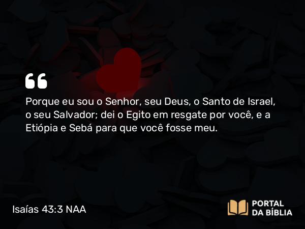 Isaías 43:3-4 NAA - Porque eu sou o Senhor, seu Deus, o Santo de Israel, o seu Salvador; dei o Egito em resgate por você, e a Etiópia e Sebá para que você fosse meu.