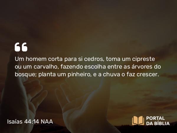 Isaías 44:14 NAA - Um homem corta para si cedros, toma um cipreste ou um carvalho, fazendo escolha entre as árvores do bosque; planta um pinheiro, e a chuva o faz crescer.