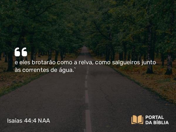 Isaías 44:4 NAA - e eles brotarão como a relva, como salgueiros junto às correntes de água.