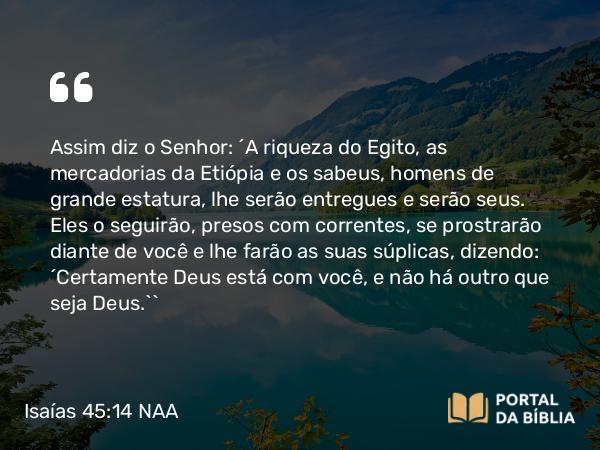 Isaías 45:14 NAA - Assim diz o Senhor: 