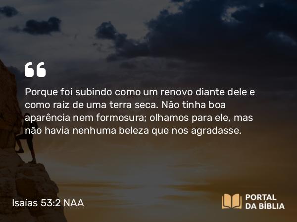 Isaías 53:2 NAA - Porque foi subindo como um renovo diante dele e como raiz de uma terra seca. Não tinha boa aparência nem formosura; olhamos para ele, mas não havia nenhuma beleza que nos agradasse.