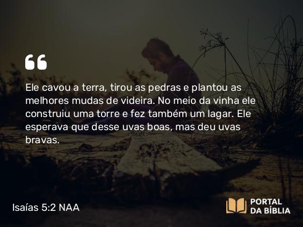 Isaías 5:2 NAA - Ele cavou a terra, tirou as pedras e plantou as melhores mudas de videira. No meio da vinha ele construiu uma torre e fez também um lagar. Ele esperava que desse uvas boas, mas deu uvas bravas.