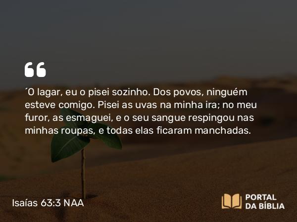 Isaías 63:3 NAA - 