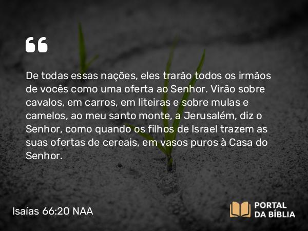 Isaías 66:20 NAA - De todas essas nações, eles trarão todos os irmãos de vocês como uma oferta ao Senhor. Virão sobre cavalos, em carros, em liteiras e sobre mulas e camelos, ao meu santo monte, a Jerusalém, diz o Senhor, como quando os filhos de Israel trazem as suas ofertas de cereais, em vasos puros à Casa do Senhor.