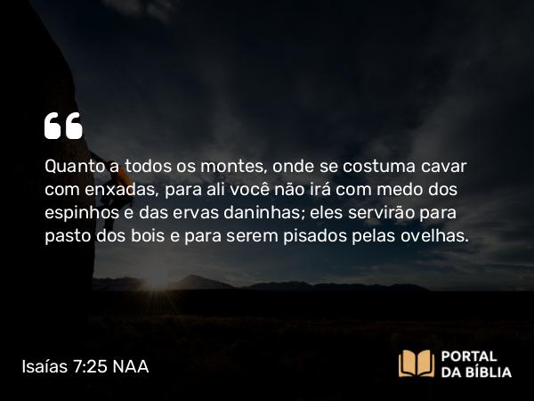 Isaías 7:25 NAA - Quanto a todos os montes, onde se costuma cavar com enxadas, para ali você não irá com medo dos espinhos e das ervas daninhas; eles servirão para pasto dos bois e para serem pisados pelas ovelhas.