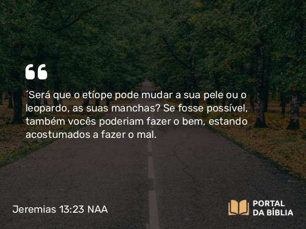 Jeremias 13:23 NAA - 