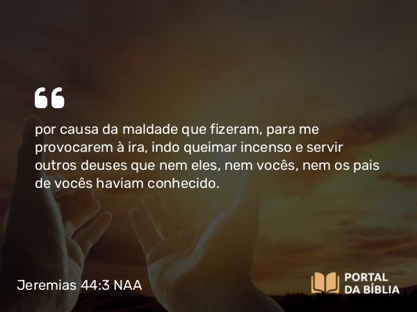 Jeremias 44:3 NAA - por causa da maldade que fizeram, para me provocarem à ira, indo queimar incenso e servir outros deuses que nem eles, nem vocês, nem os pais de vocês haviam conhecido.