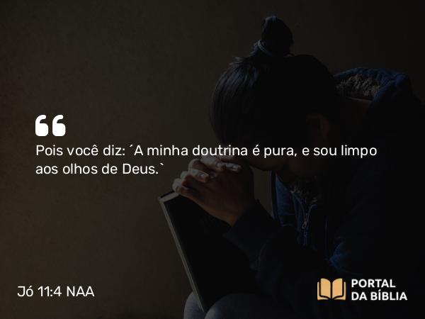 Jó 11:4 NAA - Pois você diz: ‘A minha doutrina é pura, e sou limpo aos olhos de Deus.’