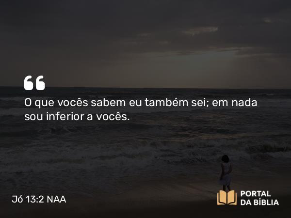 Jó 13:2 NAA - O que vocês sabem eu também sei; em nada sou inferior a vocês.