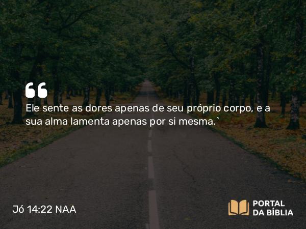 Jó 14:22 NAA - Ele sente as dores apenas de seu próprio corpo, e a sua alma lamenta apenas por si mesma.