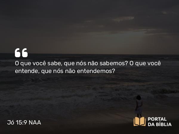 Jó 15:9 NAA - O que você sabe, que nós não sabemos? O que você entende, que nós não entendemos?