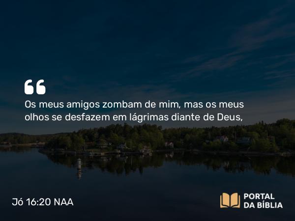 Jó 16:20-21 NAA - Os meus amigos zombam de mim, mas os meus olhos se desfazem em lágrimas diante de Deus,