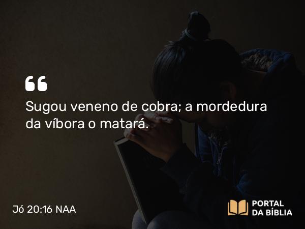 Jó 20:16 NAA - Sugou veneno de cobra; a mordedura da víbora o matará.