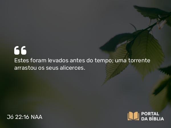 Jó 22:16 NAA - Estes foram levados antes do tempo; uma torrente arrastou os seus alicerces.