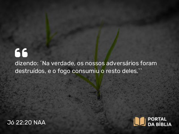 Jó 22:20 NAA - dizendo: ‘Na verdade, os nossos adversários foram destruídos, e o fogo consumiu o resto deles.’