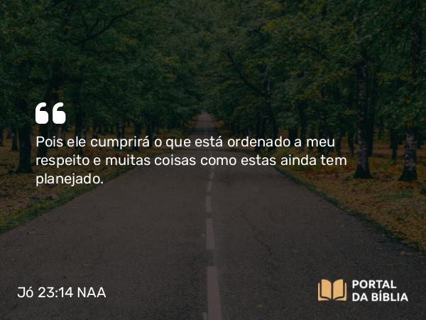 Jó 23:14 NAA - Pois ele cumprirá o que está ordenado a meu respeito e muitas coisas como estas ainda tem planejado.