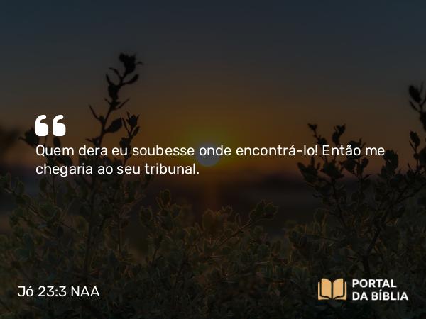 Jó 23:3 NAA - Quem dera eu soubesse onde encontrá-lo! Então me chegaria ao seu tribunal.