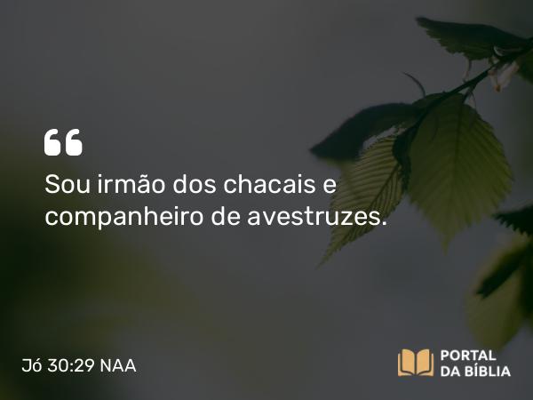 Jó 30:29 NAA - Sou irmão dos chacais e companheiro de avestruzes.