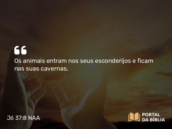 Jó 37:8 NAA - Os animais entram nos seus esconderijos e ficam nas suas cavernas.