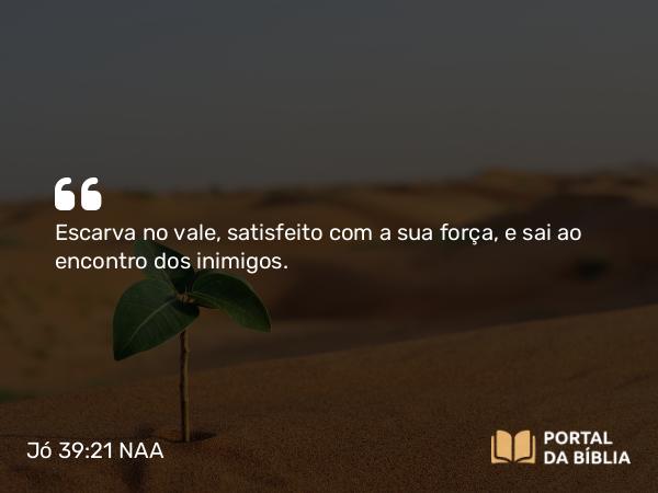 Jó 39:21 NAA - Escarva no vale, satisfeito com a sua força, e sai ao encontro dos inimigos.