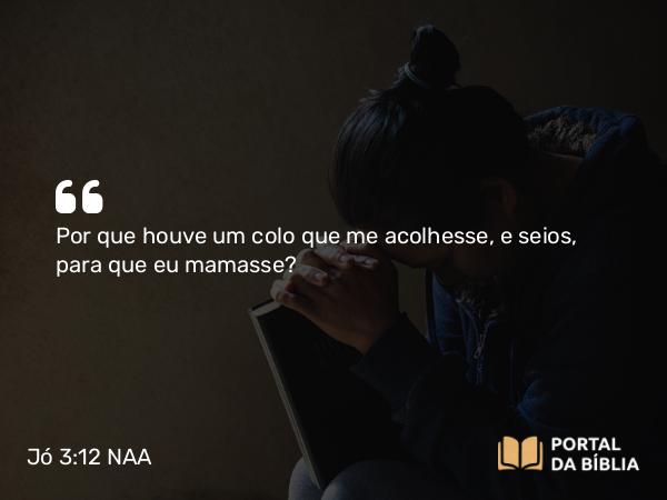 Jó 3:12 NAA - Por que houve um colo que me acolhesse, e seios, para que eu mamasse?