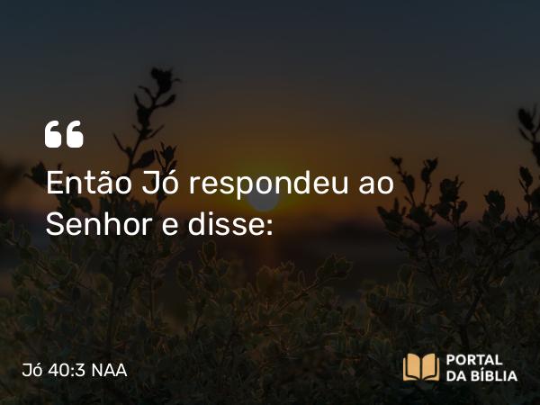 Jó 40:3 NAA - Então Jó respondeu ao Senhor e disse: