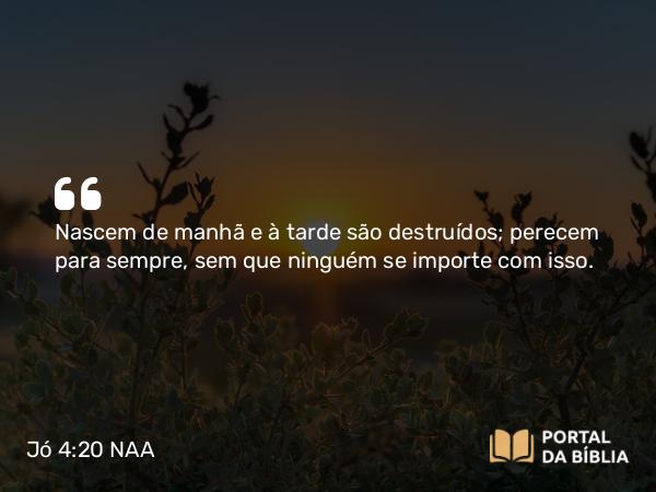 Jó 4:20 NAA - Nascem de manhã e à tarde são destruídos; perecem para sempre, sem que ninguém se importe com isso.