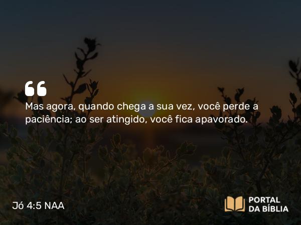 Jó 4:5 NAA - Mas agora, quando chega a sua vez, você perde a paciência; ao ser atingido, você fica apavorado.