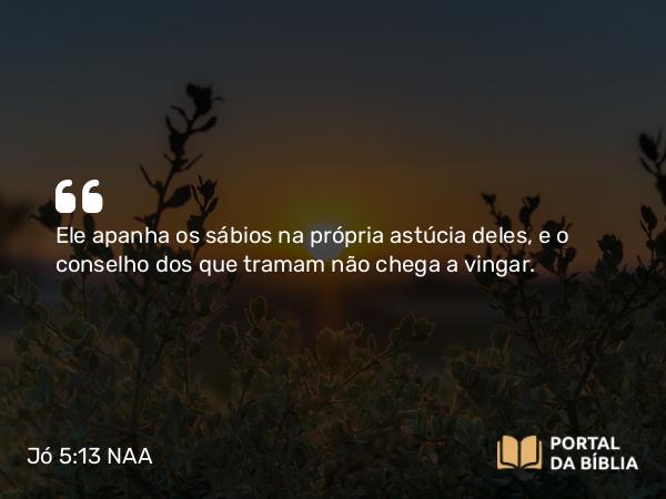 Jó 5:13 NAA - Ele apanha os sábios na própria astúcia deles, e o conselho dos que tramam não chega a vingar.