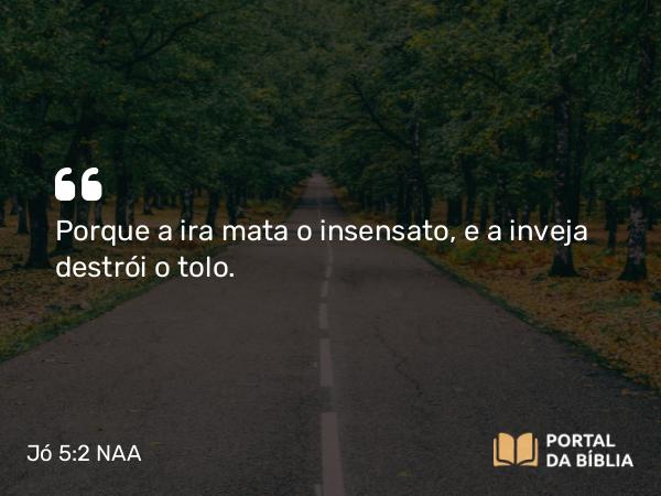 Jó 5:2 NAA - Porque a ira mata o insensato, e a inveja destrói o tolo.