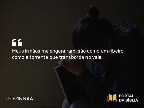 Jó 6:15 NAA - Meus irmãos me enganaram; são como um ribeiro, como a torrente que transborda no vale,