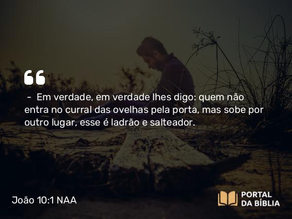 João 10:1 NAA - — Em verdade, em verdade lhes digo: quem não entra no curral das ovelhas pela porta, mas sobe por outro lugar, esse é ladrão e salteador.