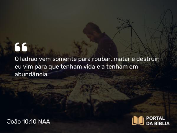 João 10:10 NAA - O ladrão vem somente para roubar, matar e destruir; eu vim para que tenham vida e a tenham em abundância.