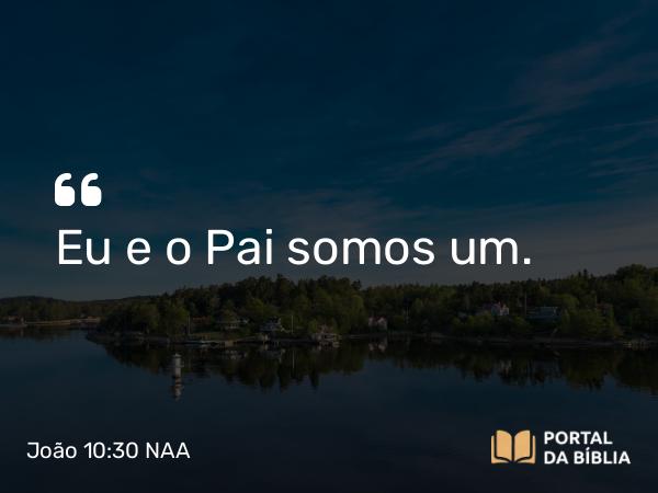 João 10:30 NAA - Eu e o Pai somos um.