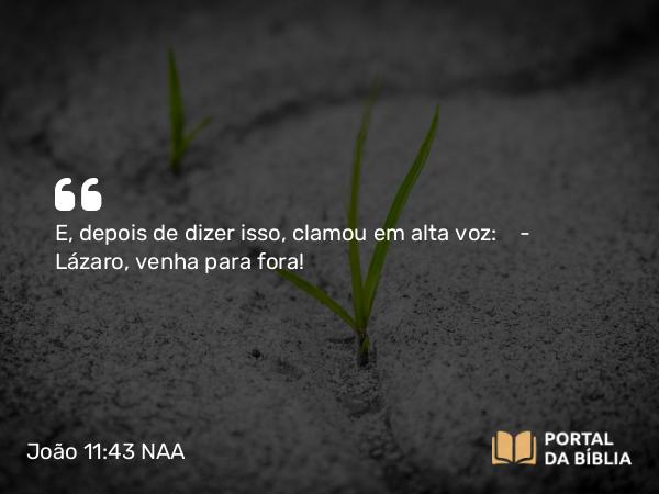 João 11:43 NAA - E, depois de dizer isso, clamou em alta voz: — Lázaro, venha para fora!