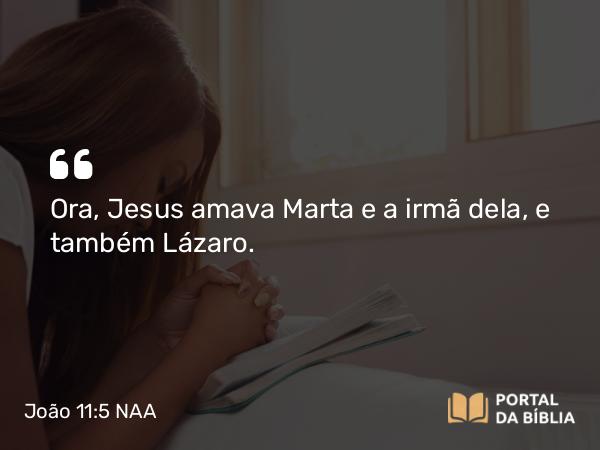 João 11:5 NAA - Ora, Jesus amava Marta e a irmã dela, e também Lázaro.