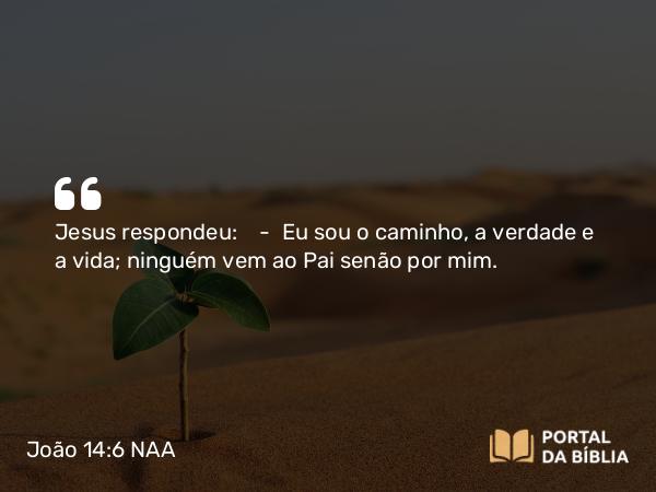 João 14:6 NAA - Jesus respondeu: — Eu sou o caminho, a verdade e a vida; ninguém vem ao Pai senão por mim.