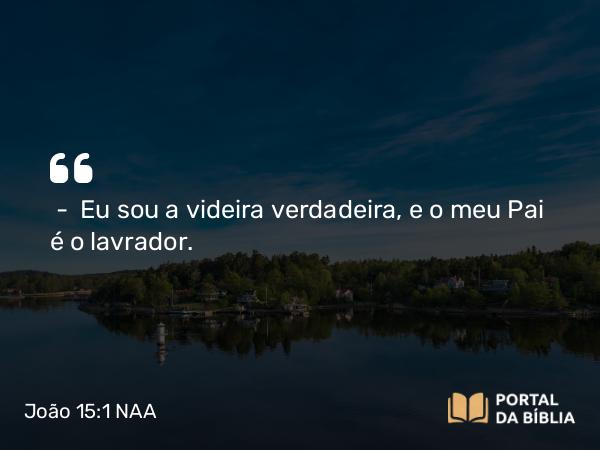 João 15:1 NAA - — Eu sou a videira verdadeira, e o meu Pai é o lavrador.