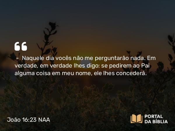 João 16:23 NAA - — Naquele dia vocês não me perguntarão nada. Em verdade, em verdade lhes digo: se pedirem ao Pai alguma coisa em meu nome, ele lhes concederá.