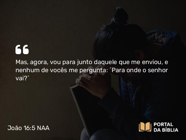 João 16:5 NAA - Mas, agora, vou para junto daquele que me enviou, e nenhum de vocês me pergunta: 